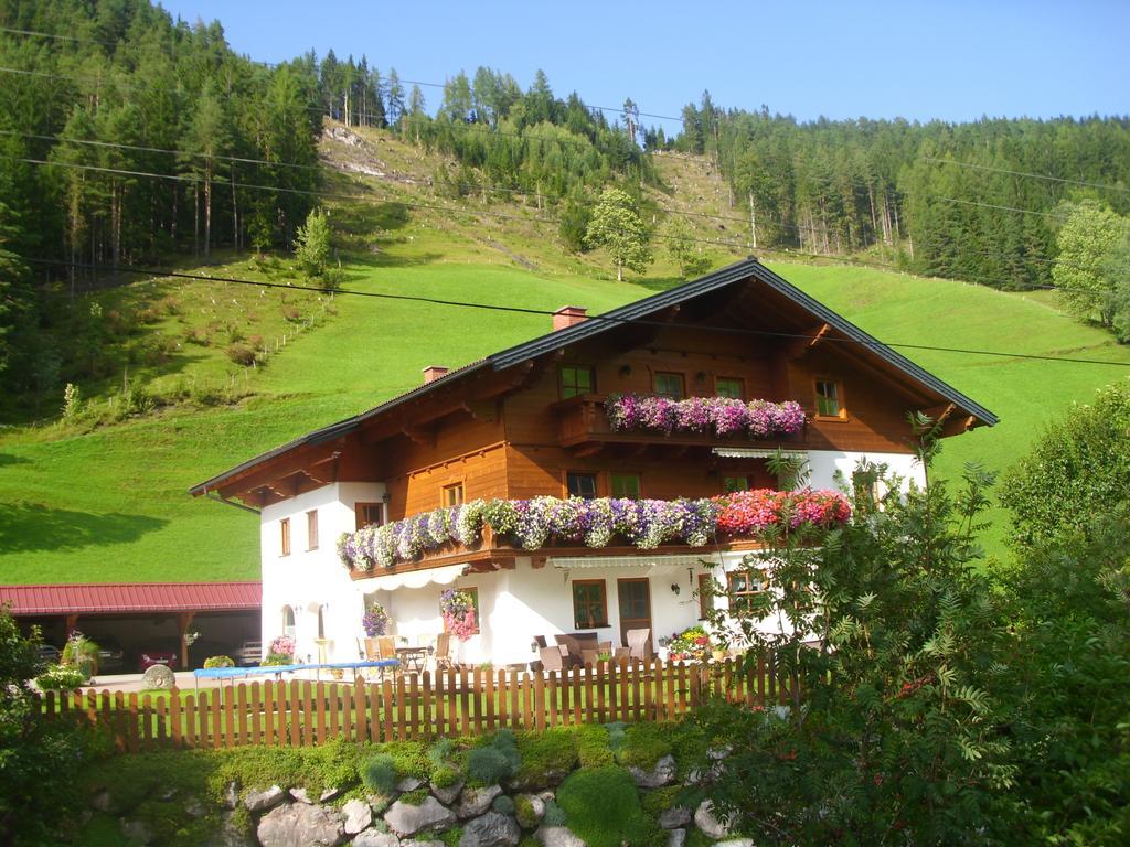 Apartamento Untersteinhof Forstau  Exterior foto